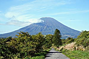 �N���j�b�N�O��